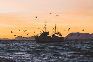 SOLUÇÃO 01 - BARCO DE PESCA - crédito da foto - Knut Troima em Unsplash